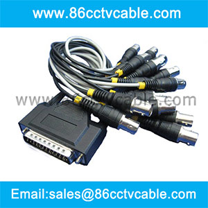 25 pins to 16 bnc cable