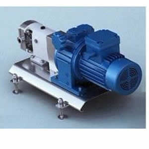 lobe pump with explosion-proof motor